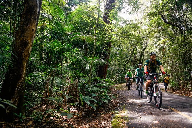 mountain-bike-tijuca-rain-forest