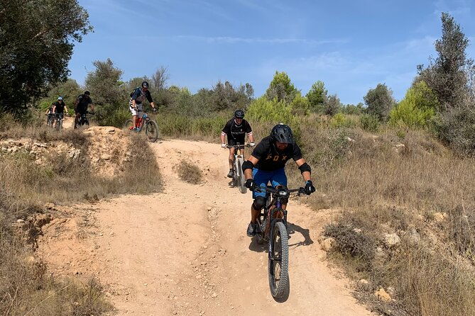 mountain-bike-tour-font-de-la-mata-4