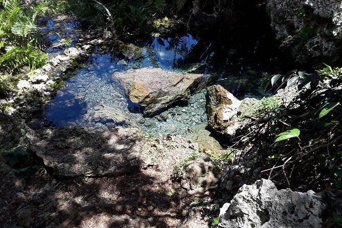 mountain-bike-tour-to-a-pristine-spring-and-cave