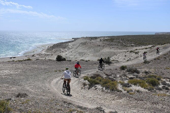 mountain-biking-and-sea-lion-watching-in-puerto-madryn