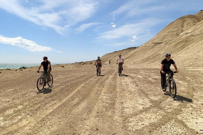 mountain-biking-and-sea-lion-watching-in-puerto-madryn