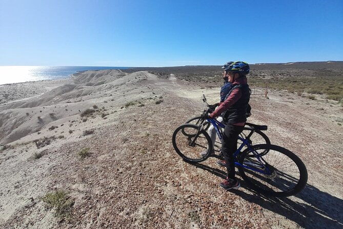 mountain-biking-and-sea-lion-watching-in-puerto-madryn
