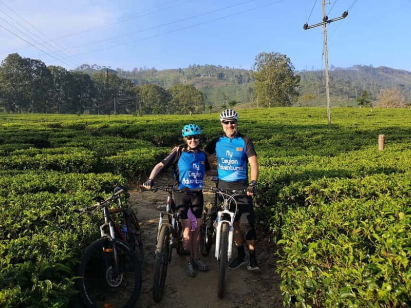 Mountain biking around Tea Trails Tour in Kandy - Bicycle and Equipment