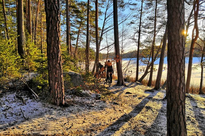 mountain-biking-small-group-in-stockholm-forests-for-beginners