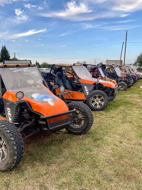 Mountain Buggy Thessaloniki: Route Refuge- Mount Hortiatis - What to Expect During Your Ride