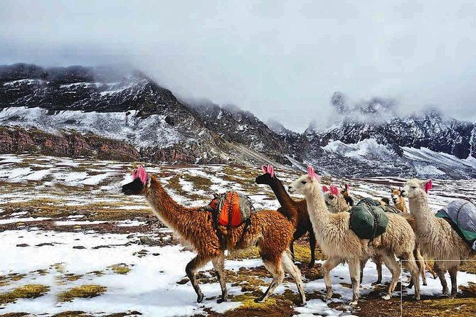 mountain-excursion-rainbow-and-to-the-red-valley-optional