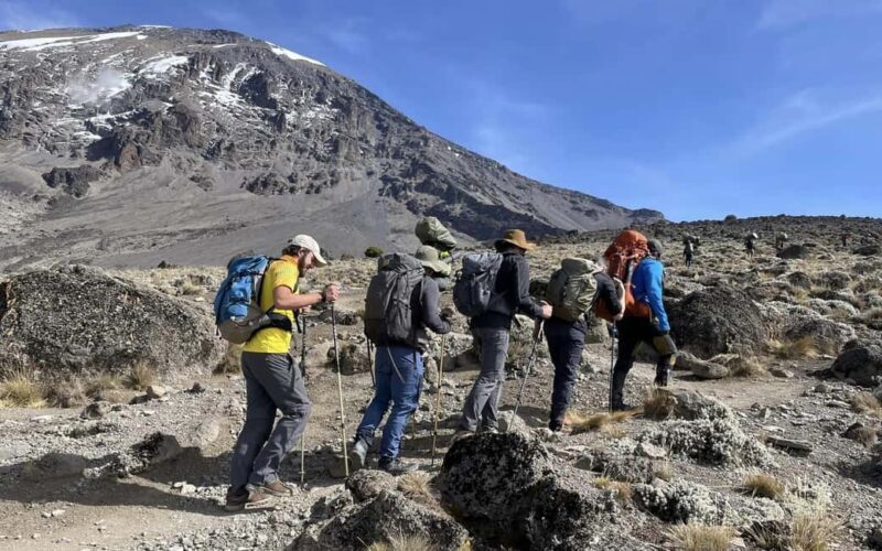 Mountain Kilimanjaro Day Hike - Key Points