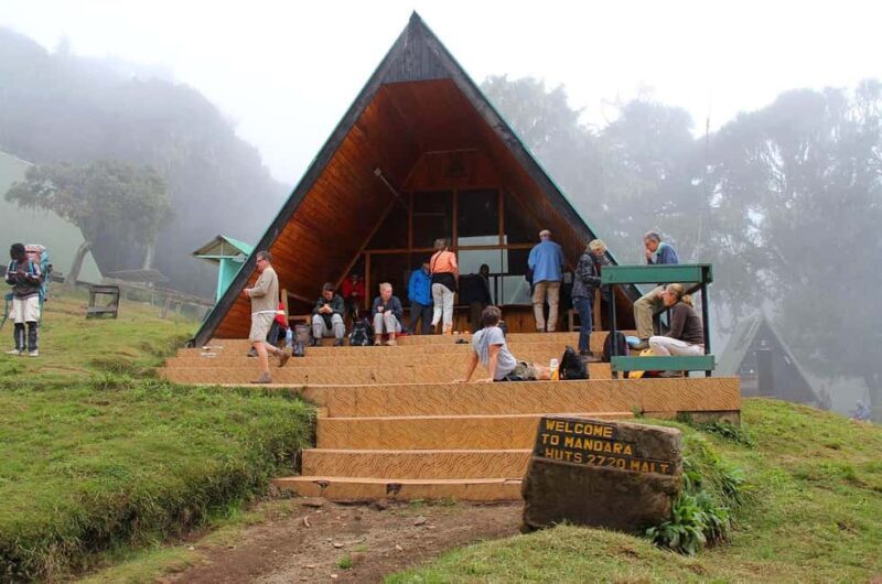 Mountain Kilimanjaro Day Hike - Practical Tips for Making the Most of Your Day