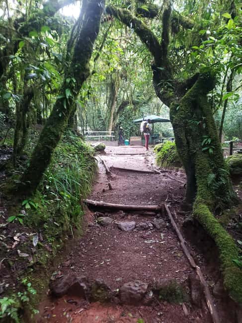 Mountain Kilimanjaro Day Hike - Final Thoughts