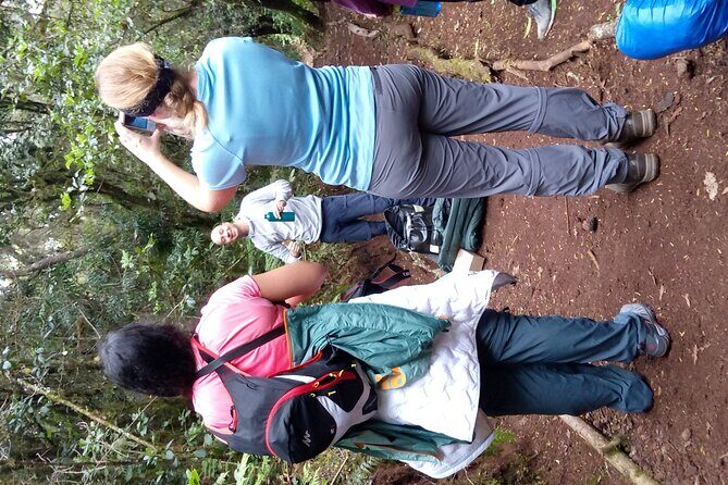 Mountain Kilimanjaro Day Hike - What is the Kilimanjaro Day Hike?