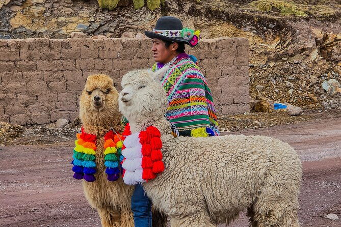mountain-of-colors-vinincnever-full-day-tour-from-cusco