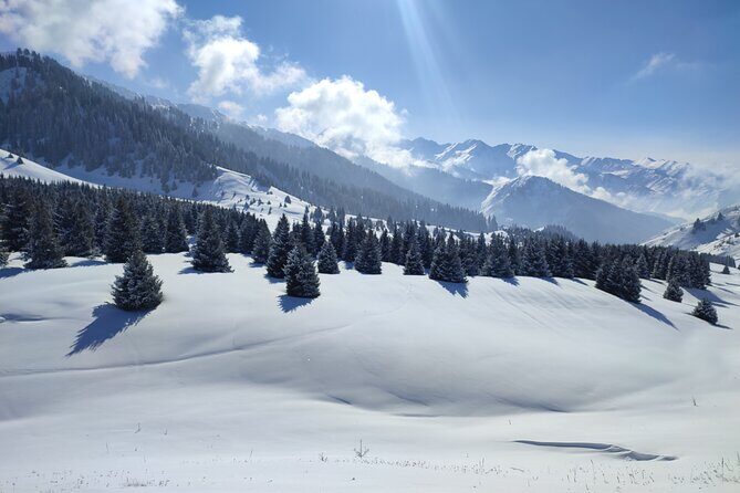 Mountain pasture Kok Zhailau The most popular trekking in Almaty - Introduction to Kok Zhailau: A Must-Do in Almaty