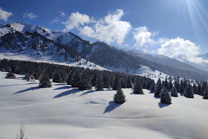 Mountain pasture Kok Zhailau The most popular trekking in Almaty - What Makes This Tour Stand Out?