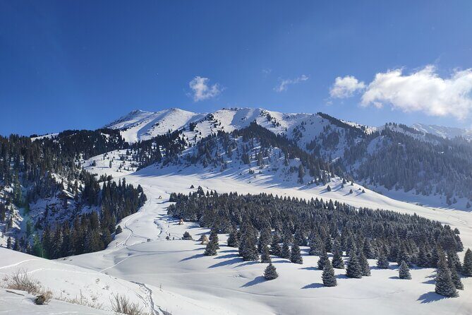 Mountain pasture Kok Zhailau The most popular trekking in Almaty - Why This Tour Is Worth It