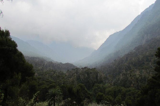 Mountain Rwenzori Trekking Uganda 9 Day Safari - FAQs