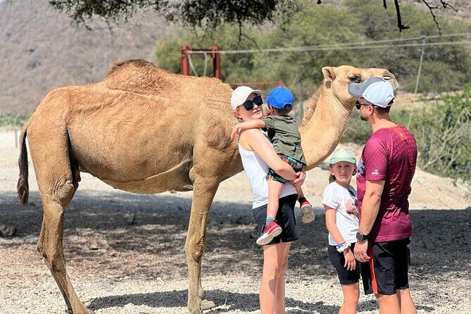 Mountain Safari, Camels, waterfalls & lunch (Group Tour) - Key Points
