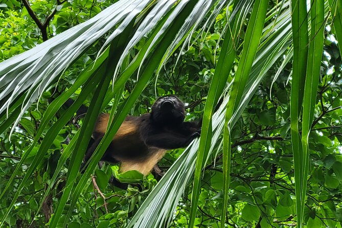 mountain-secret-beach-adventure