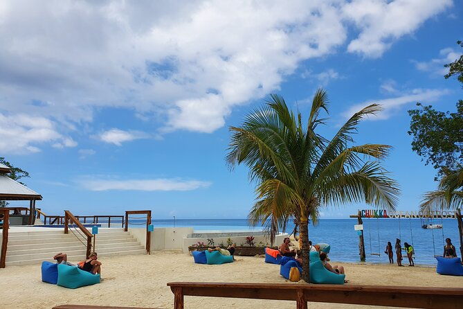 mountain-to-sea-horseback-ride-and-swim-at-sandy-bay