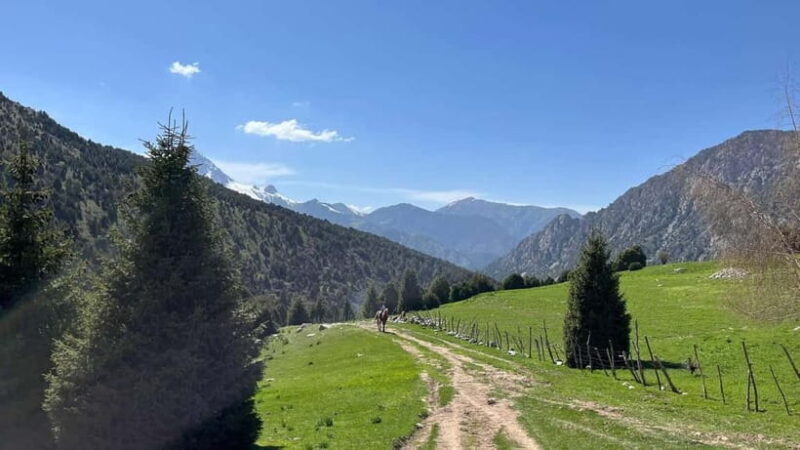 Mountain tour in Kyrgzstan dep from Tashkent - Who Should Consider This Tour?