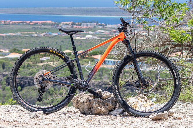 mountainbike-rental-1-week