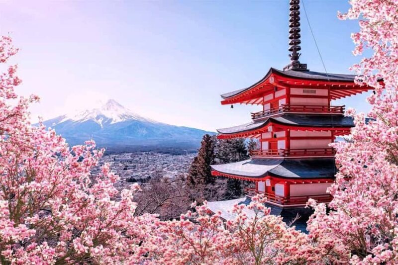 MountFuji Private Sightseeing Tour with Guide & Hotel Pickup - Limitations and Considerations