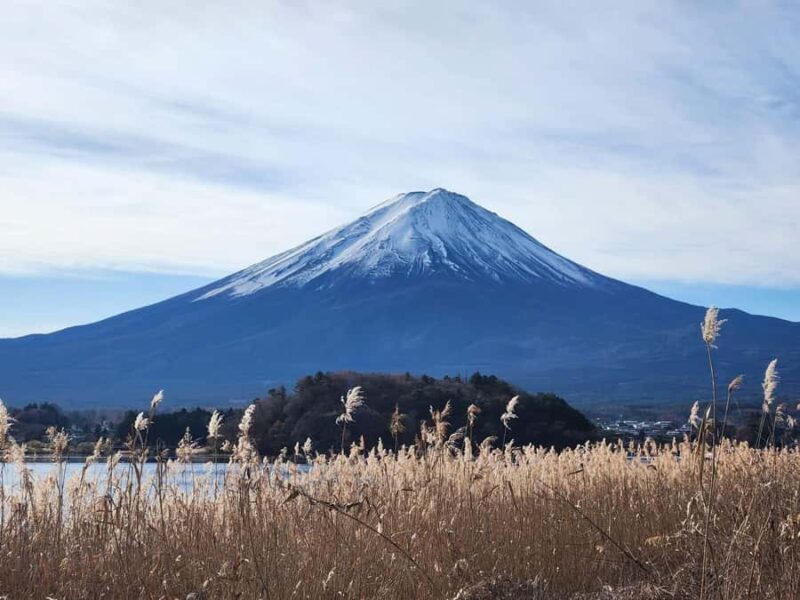 MountFuji Private Sightseeing Tour with Guide & Hotel Pickup - Final Thoughts