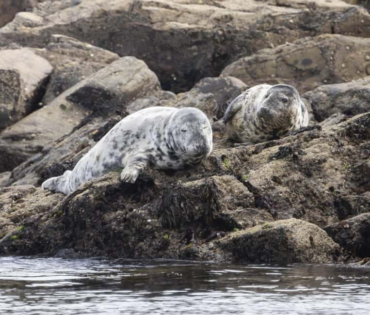 Mounts Bay, Penzance Boat Trip - The Experience in Detail