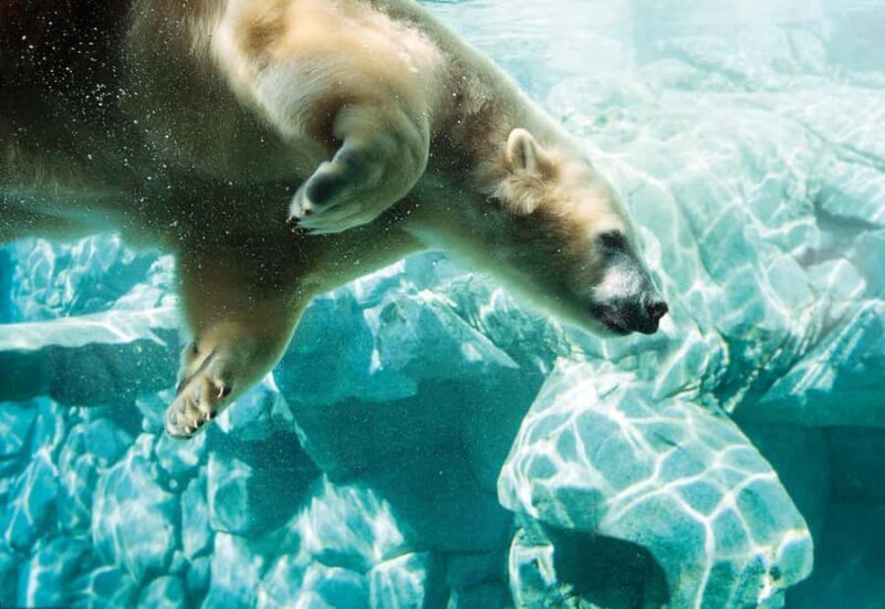 Movie World, Sea World, & WetnWild Multi Park 1-Day Pass - Summing Up