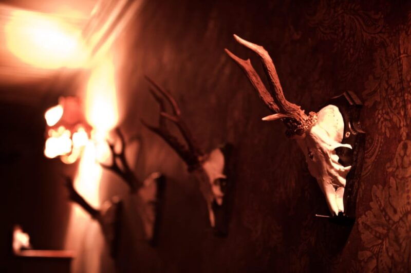 moviescape-stockport-haunted-house-ii-escape-room-game