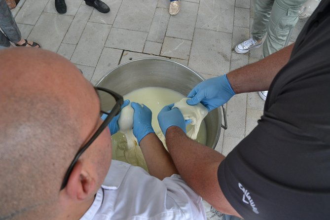 mozzarella-class-or-pizza-class-2
