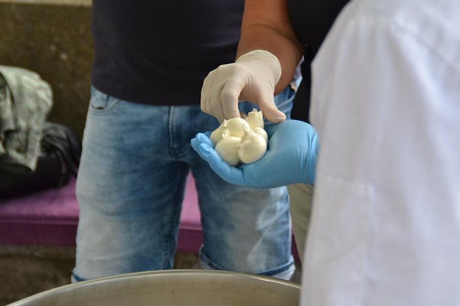 mozzarella-class-or-pizza-class