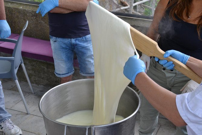 mozzarella-class-or-pizza-class