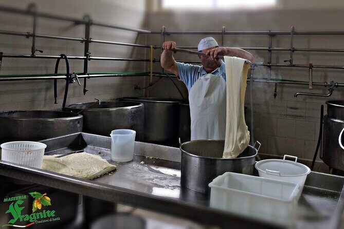 Mozzarella Experience - Cheese Tour and tastings to Masseria Fragnite - An In-Depth Look at the Cheese Tour Experience