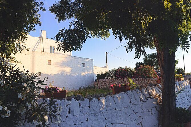 Mozzarella Experience - Cheese Tour and tastings to Masseria Fragnite - Who Should Book This Tour?