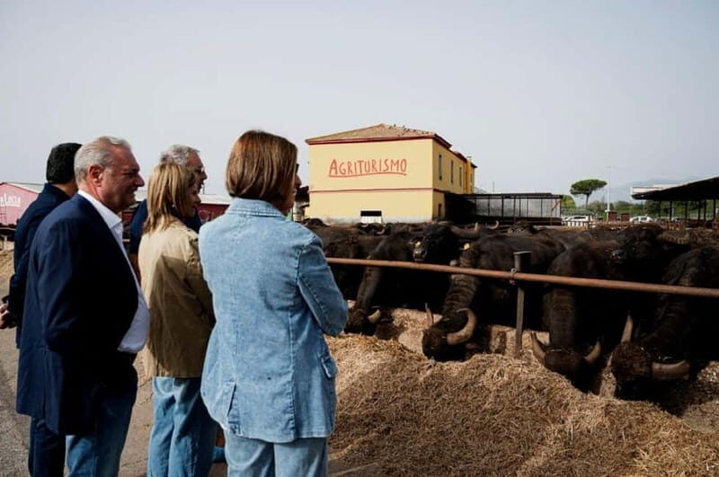 Mozzarella experience: discovering the art of cheese making - FAQ