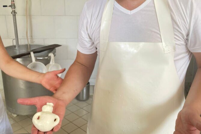 Mozzarella Experience with Tasting in Vico Equense - Key Points