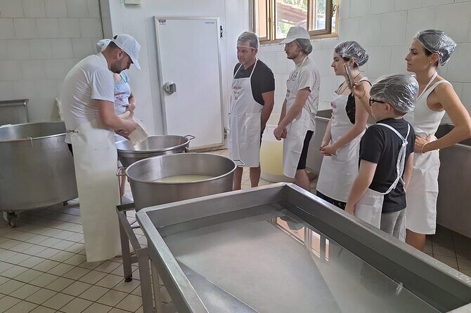 Mozzarella Experience with Tasting in Vico Equense - FAQ