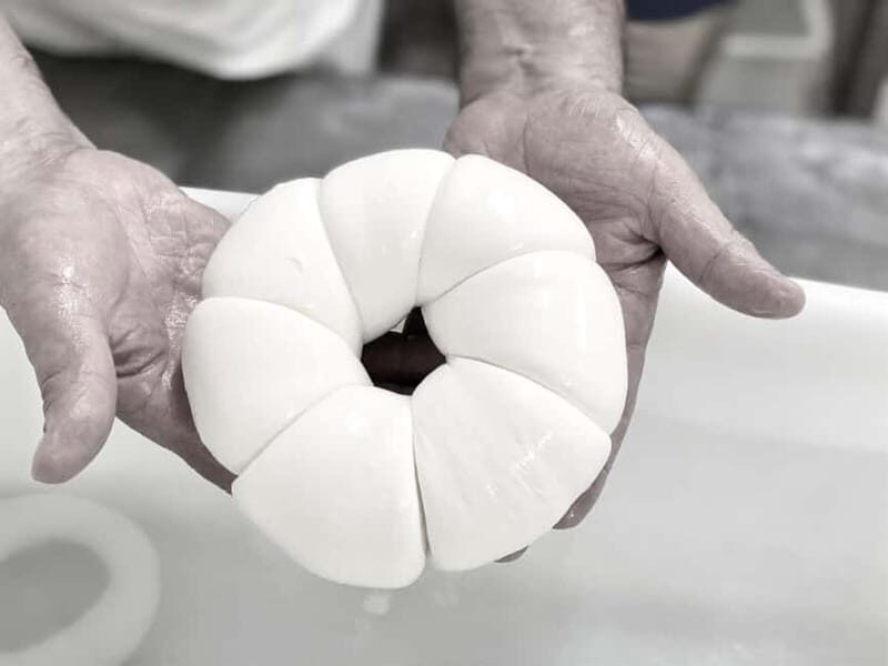 Mozzarella Making Experience (Live it, Discover it, Taste it) - Key Points