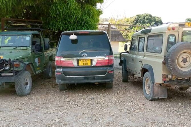 Mpanda Airport Pickup and Drop- Off to/from Katavi National Park. - How Does This Service Stack Up?