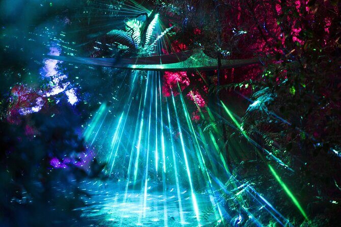 Mrama: Geyser Light Trail at Te Puia - The Sum Up: Who Should Consider This Experience?