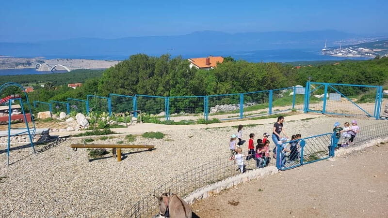 mrika (near Rijeka/Krk/Crikvenica) Donkey Farm Family Fun - The Value of the Experience