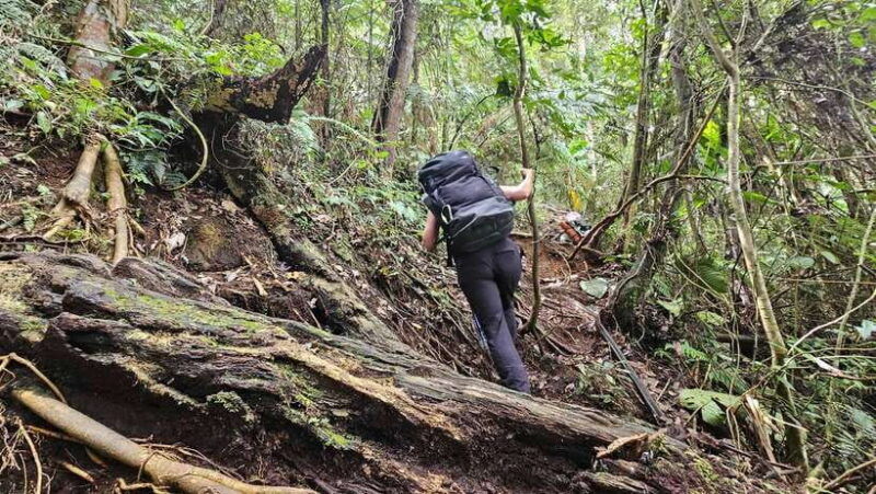 mt-apo-a-trek-to-the-highest-mountain-in-the-philippines
