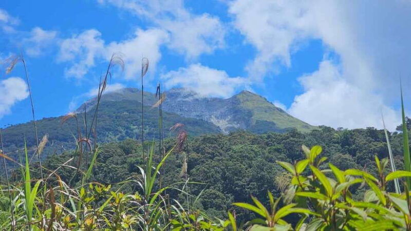 mt-apo-a-trek-to-the-highest-mountain-in-the-philippines