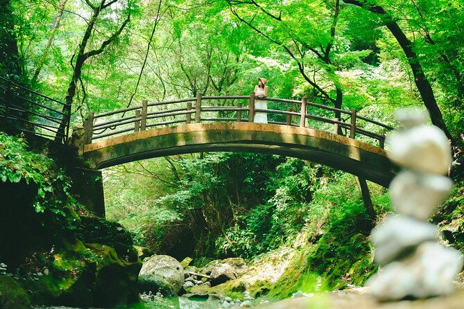 mt-aso-and-takachiho-gorge-1-day-highlights-tour-from-kumamoto