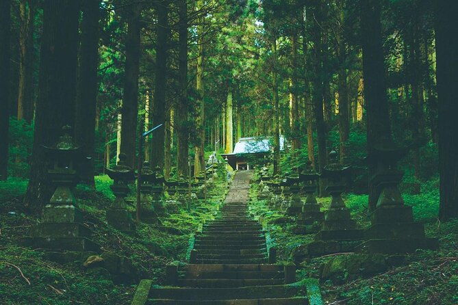 mt-aso-and-takachiho-gorge-1-day-highlights-tour-from-kumamoto