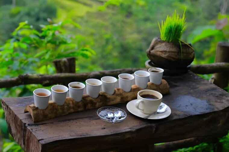 mt-batur-sunrise-and-hot-springs-all-inclusive-tour