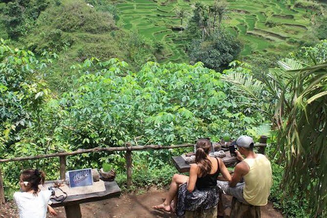 Mt. Batur Trekking With Hot Spring & Guide - Final Thoughts: Who Should Book This Tour?