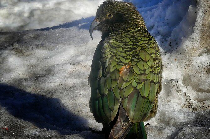 Mt Cook & Lake Tekapo 2-Day Small Group Tour from Queenstown - Practical Details for Travelers