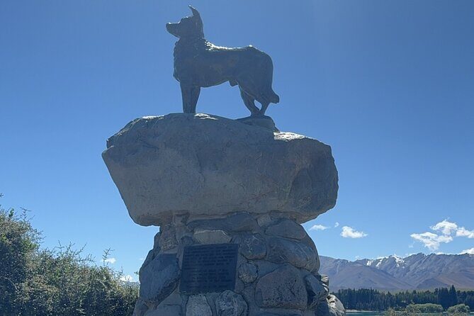 Mt. Cook Private Day Trip From Queenstown with Lake Tekapo - Overview of the Tour Experience