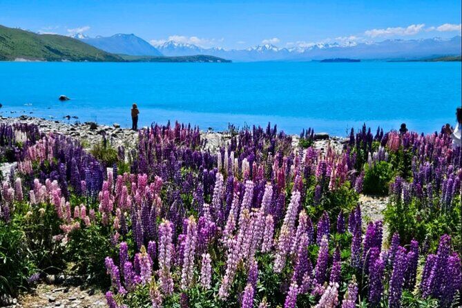 Mt. Cook Private Day Trip From Queenstown with Lake Tekapo - Food and Refreshments